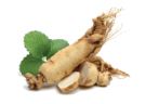 GINSENG